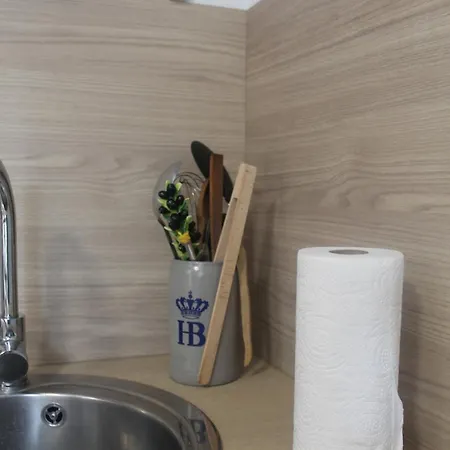 L'ariane, Vue Sur Le Chateau * Foix