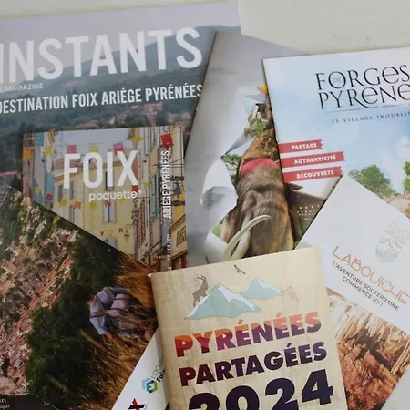 Apartamento L'ariane, Vue Sur Le Chateau Foix